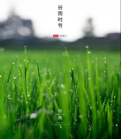 谷雨時節(jié)，思泊湖別春